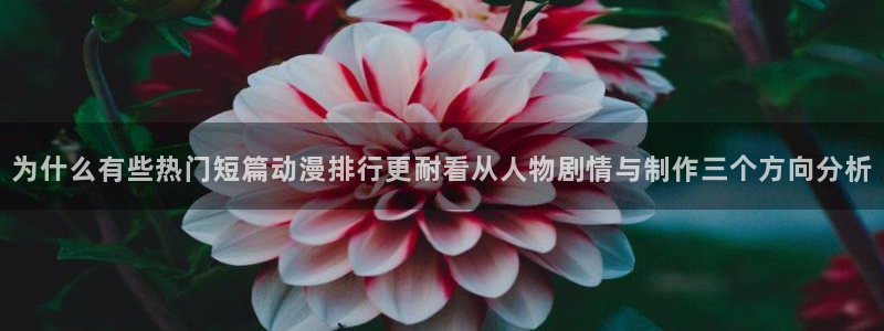 虫虫漫画在线全集:为什么有些热门短篇动漫排行更耐看从人物剧情与制作三个方向分析配图