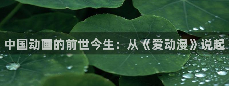 虫虫漫画免费完整版：中国动画的前世今生：从《爱动漫》说起配图