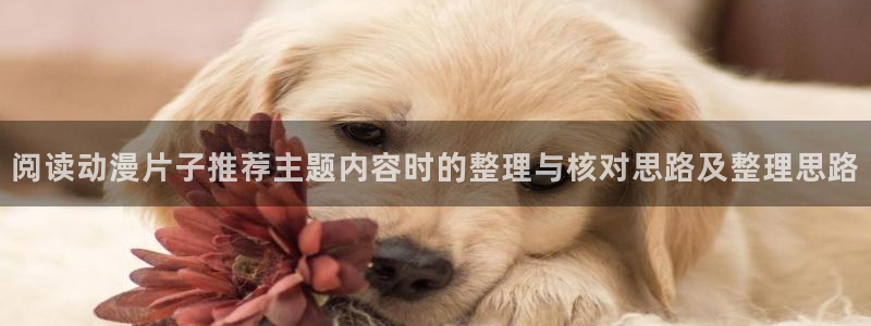 虫虫漫画大全最新章节:阅读动漫片子推荐主题内容时的整理与核对思路及整理思路配图